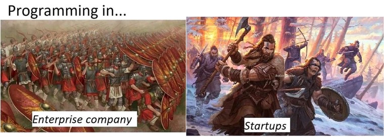 Startups vs Enterprise